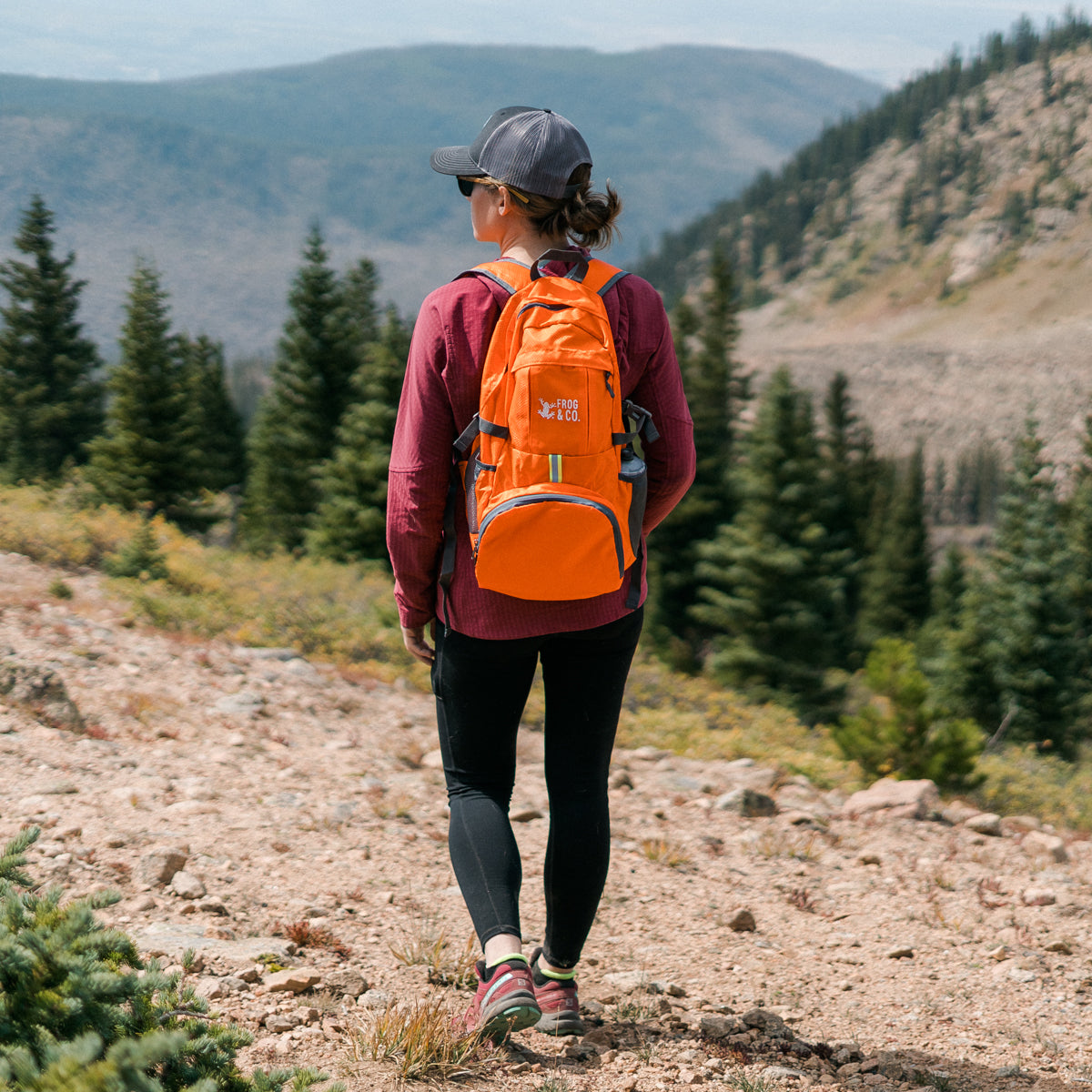 Hiking Packs