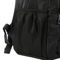 APACHE Executive 15.6" Laptop Backpack