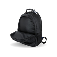 ROADSTER Executive 15.6'' Laptop Backpack