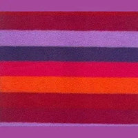 Polar Feet Fleece Socks - Jellybean