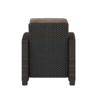 Miles Mocha Finish Outdoor Wicker Club Chair